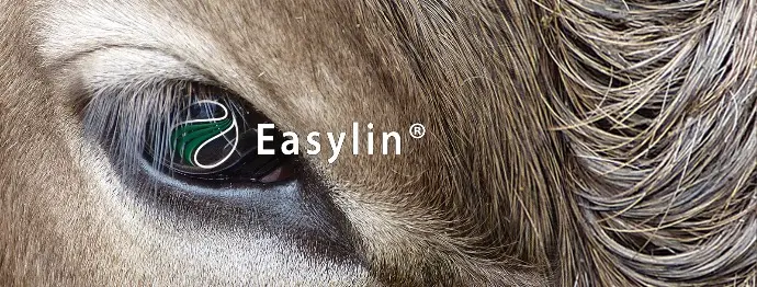 Billede af ko med link til Easylin