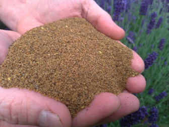 Easylin vises i hænderne